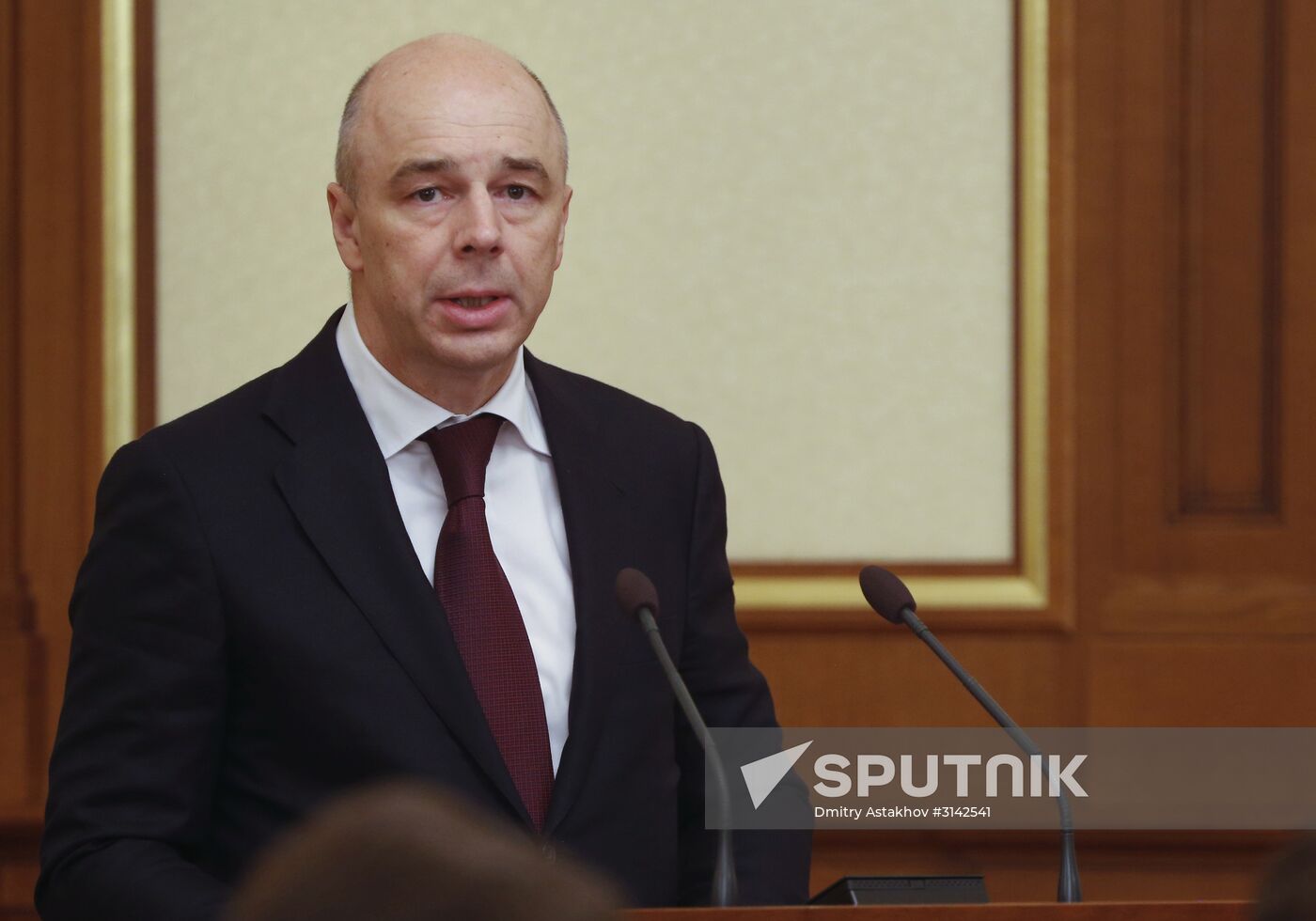 Russian Prime Minister Dmitry Medvedev chairs Government meeting