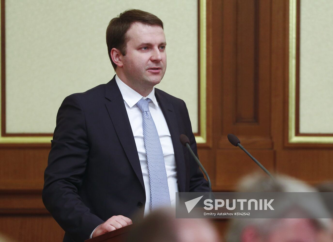 Russian Prime Minister Dmitry Medvedev chairs Government meeting
