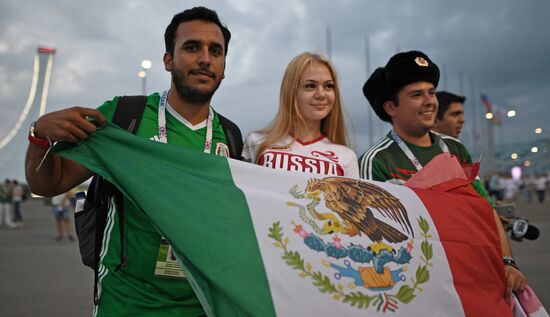 Football. 2017 FIFA Confederations Cup. Germany vs. Mexico