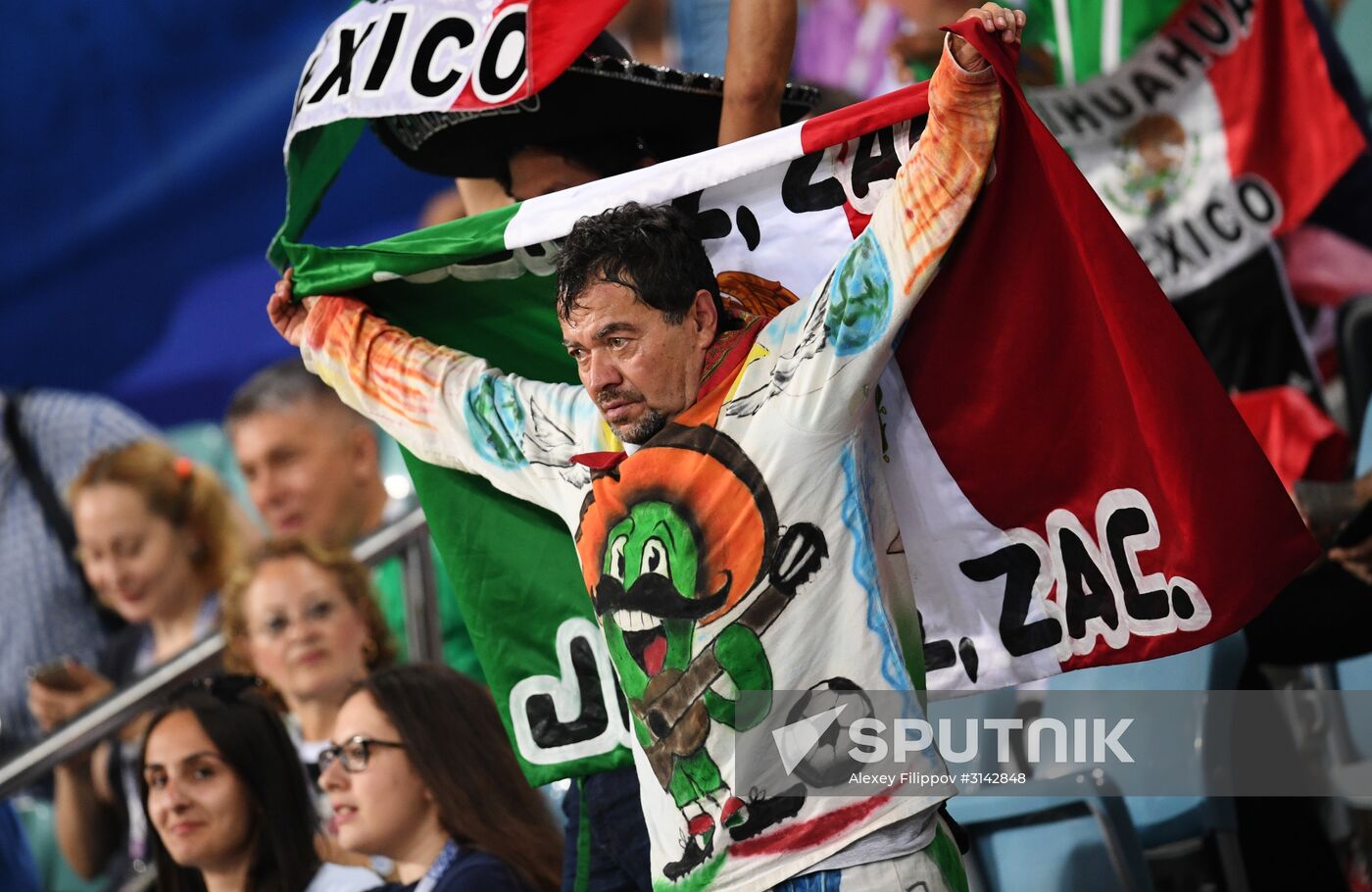 Football. 2017 FIFA Confederations Cup. Germany vs. Mexico