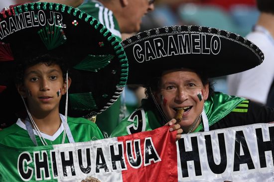 Football. 2017 FIFA Confederations Cup. Germany vs. Mexico
