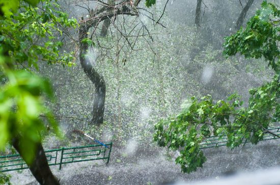 Rain in Moscow