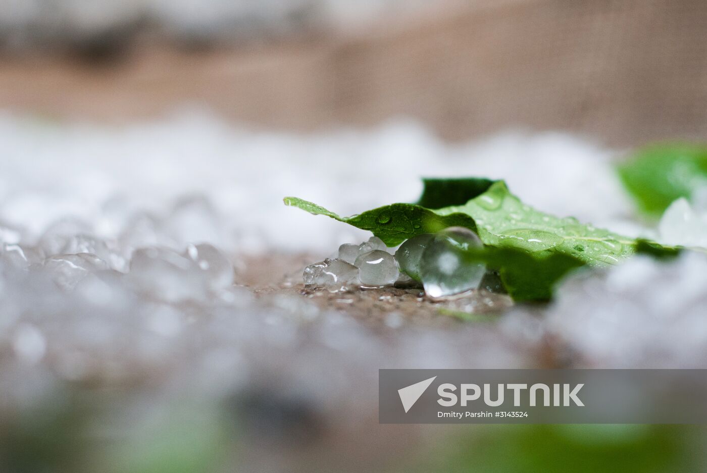 Rain in Moscow