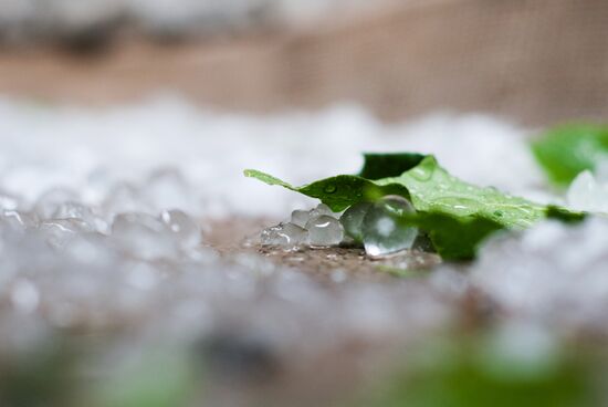 Rain in Moscow