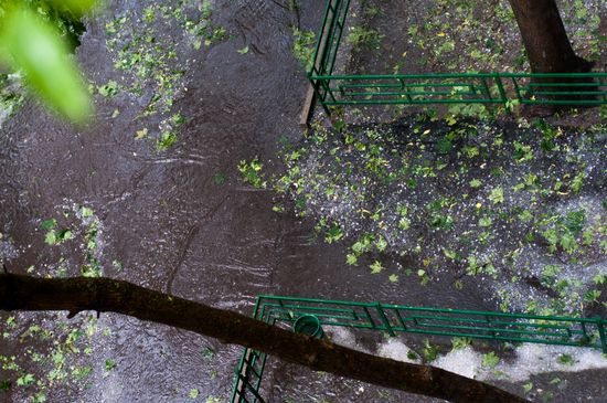 Rain in Moscow
