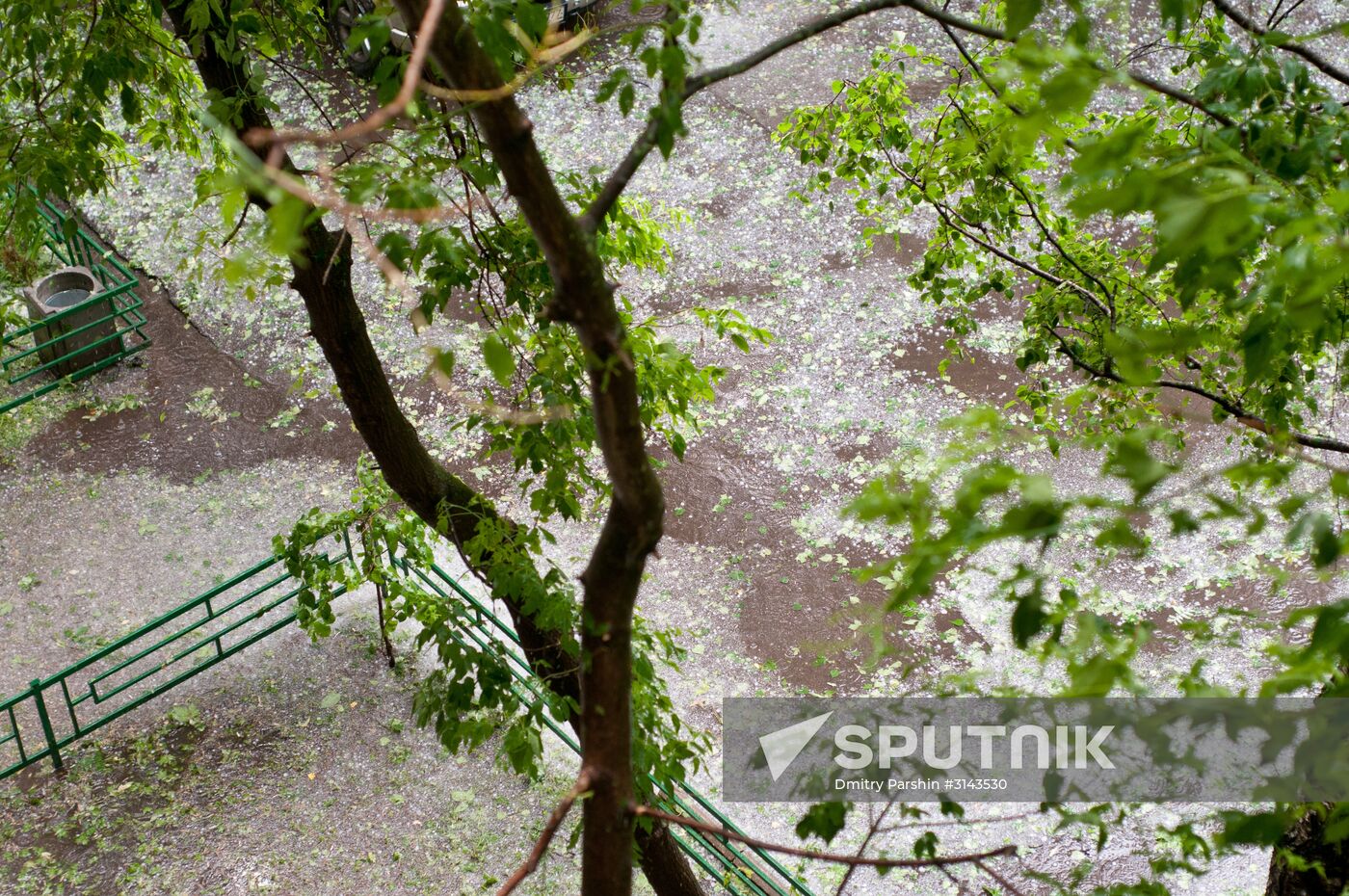 Rain in Moscow
