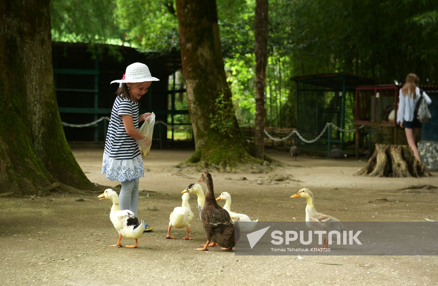 Holiday-makers in Abkhazia