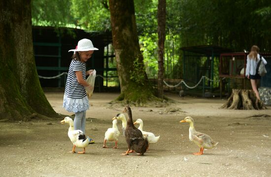 Holiday-makers in Abkhazia