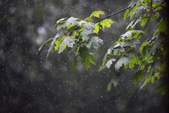 Rain in Moscow