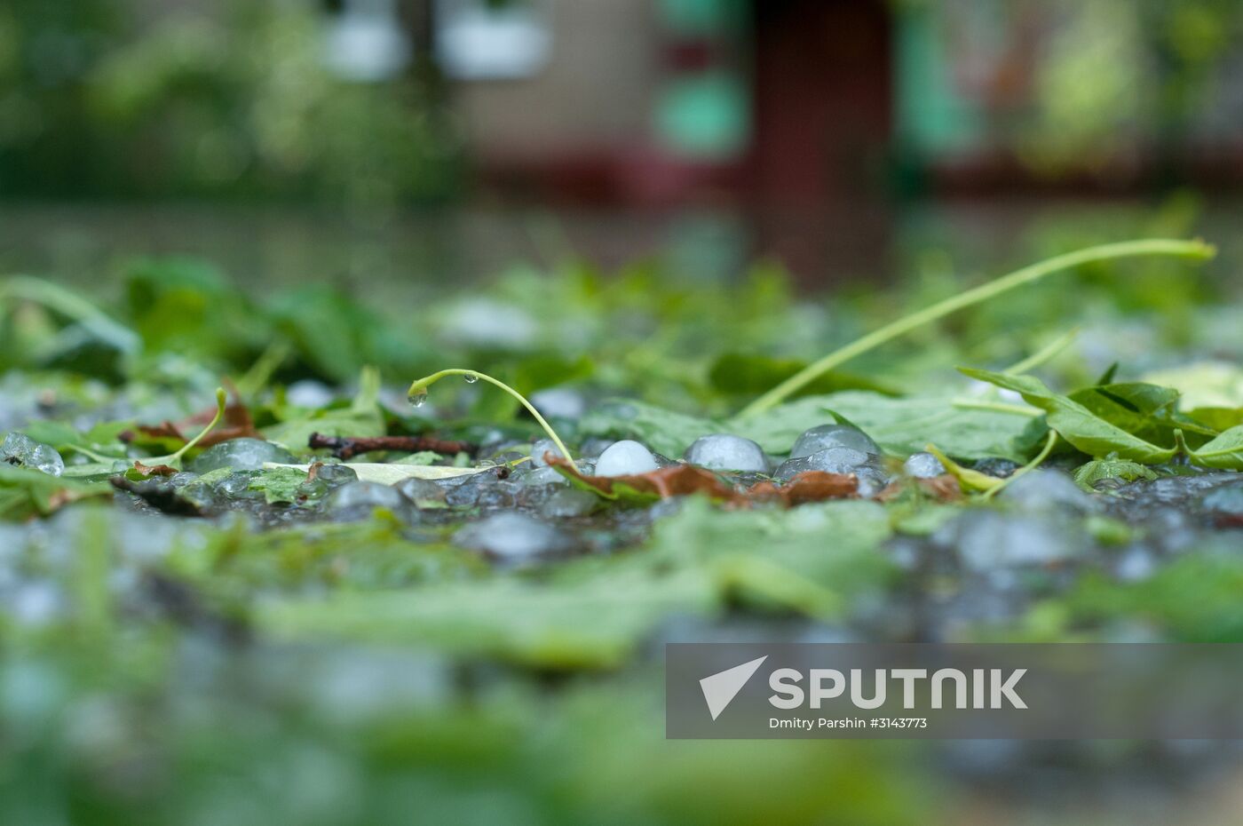 Rain in Moscow
