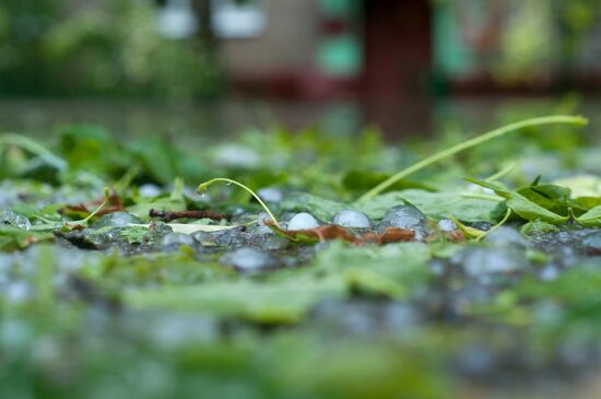 Rain in Moscow