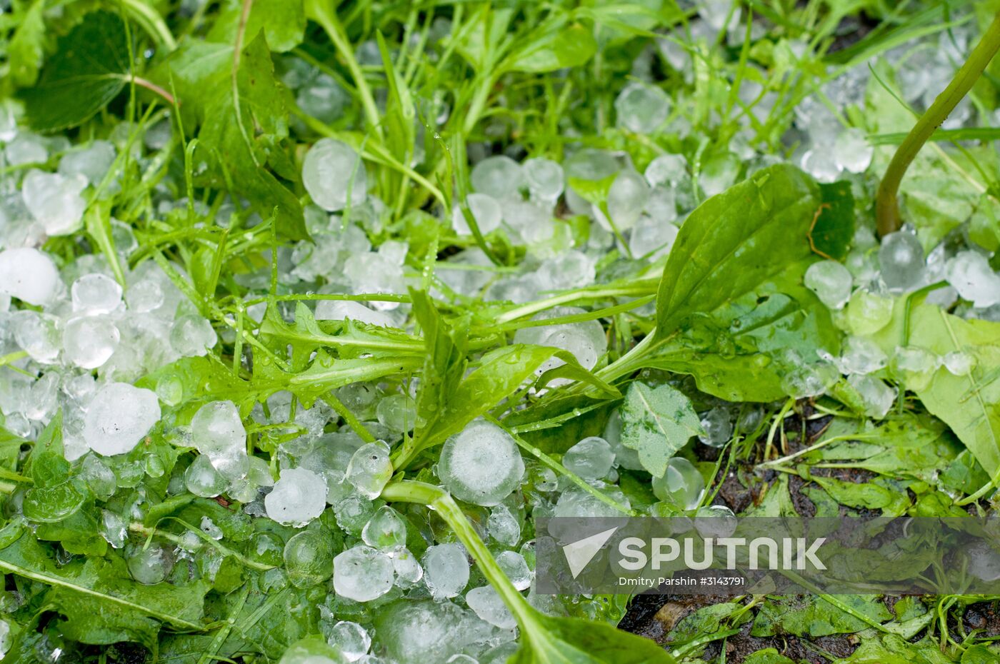 Rain in Moscow
