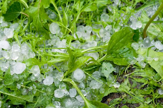 Rain in Moscow