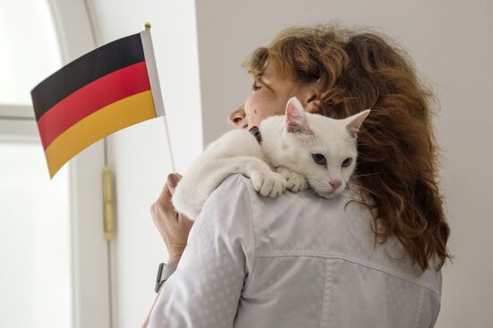 Psychic cat predicts Germany's victory in 2017 Confederations Cup final against Chile