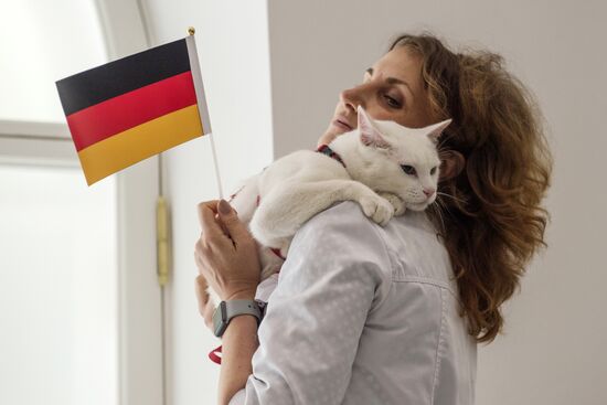 Psychic cat predicts Germany's victory in 2017 Confederations Cup final against Chile
