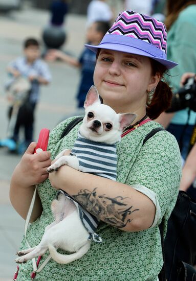 'A City in a Sailor's Shirt' festival in Vladivostok