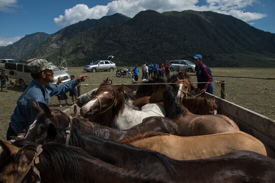 Kok-boru ethnic game tournament in Altai Republic