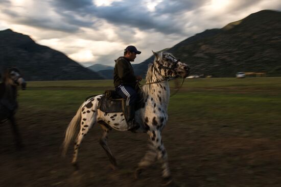 Kok-boru ethnic game tournament in Altai Republic