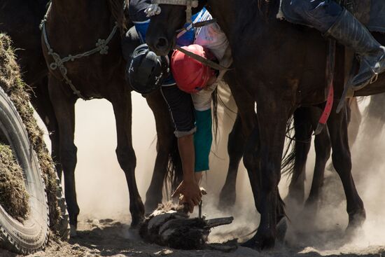 Kok-Boru traditional equestrian tournament in Altai Republic