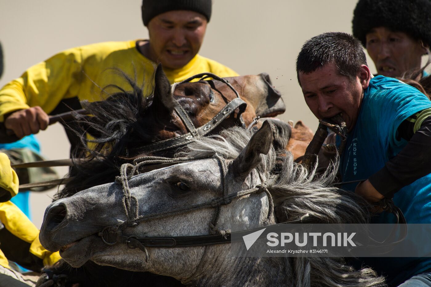 Kok-Boru traditional equestrian tournament in Altai Republic