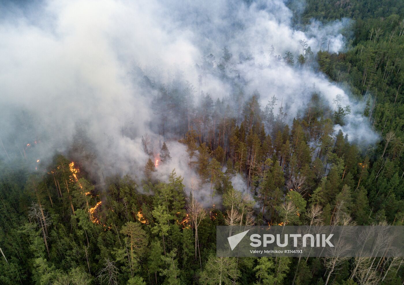 Forest fires in Buryatia