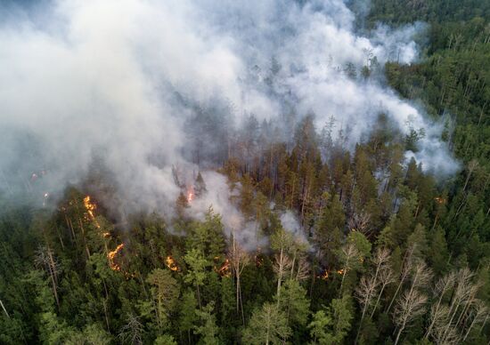 Forest fires in Buryatia
