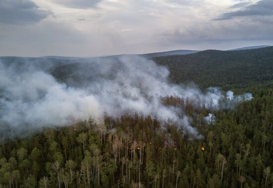 Forest fires in Buryatia