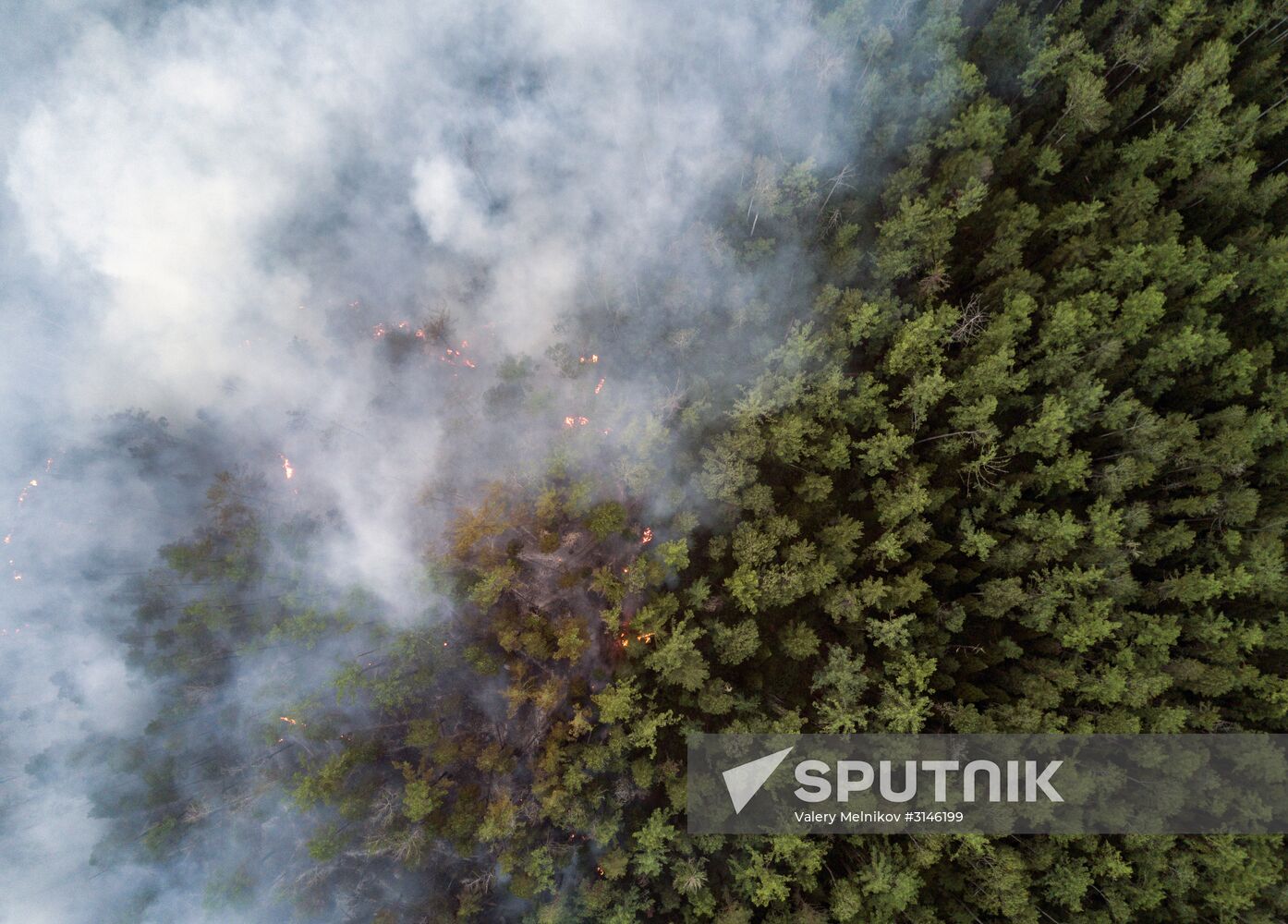Forest fires in Buryatia