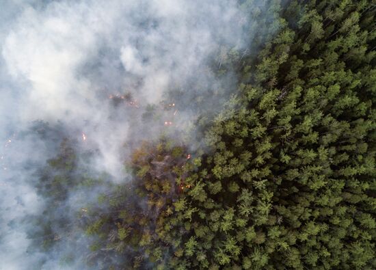 Forest fires in Buryatia