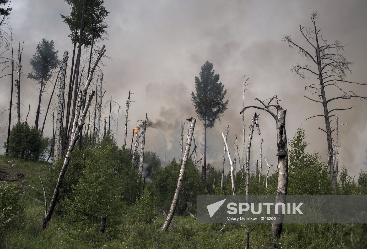 Forest fires in Buryatia