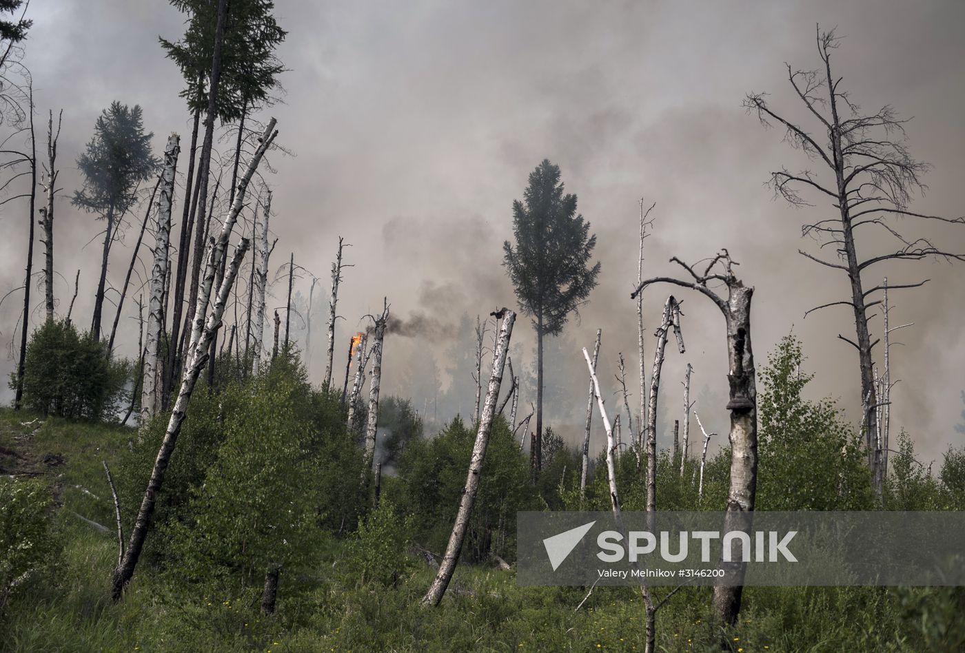 Forest fires in Buryatia