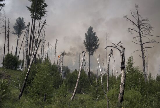 Forest fires in Buryatia
