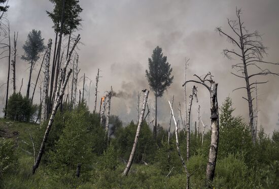 Forest fires in Buryatia