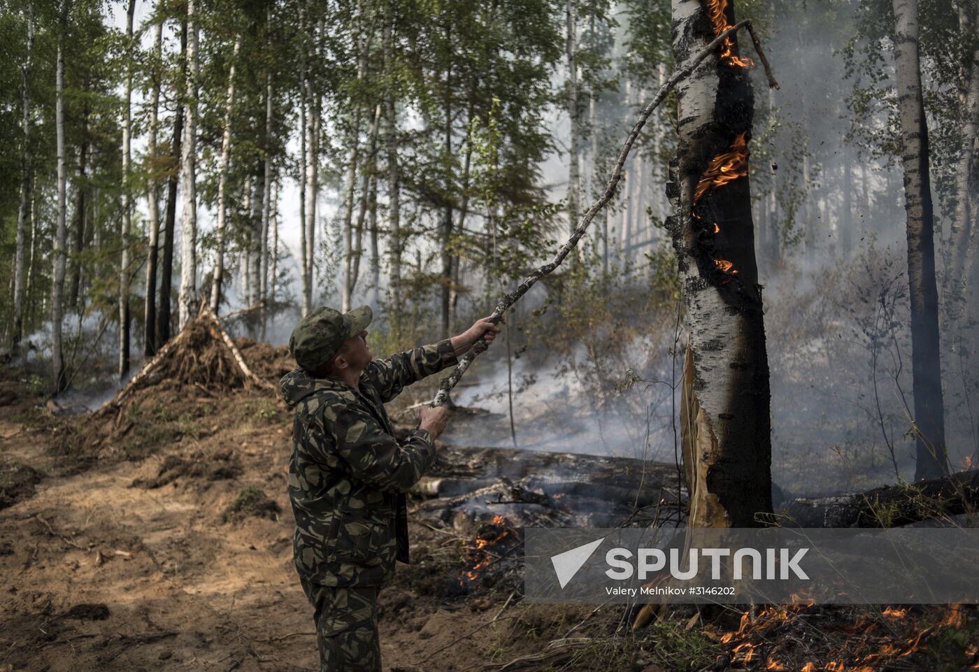 Forest fires in Buryatia