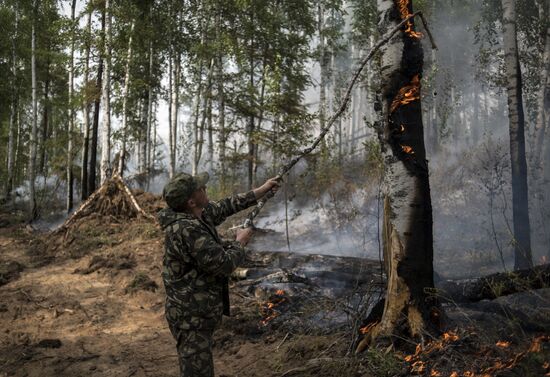 Forest fires in Buryatia
