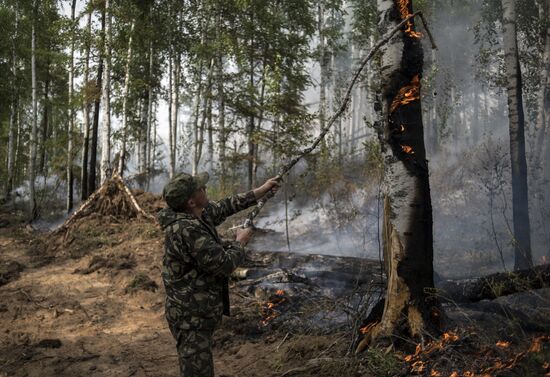 Forest fires in Buryatia