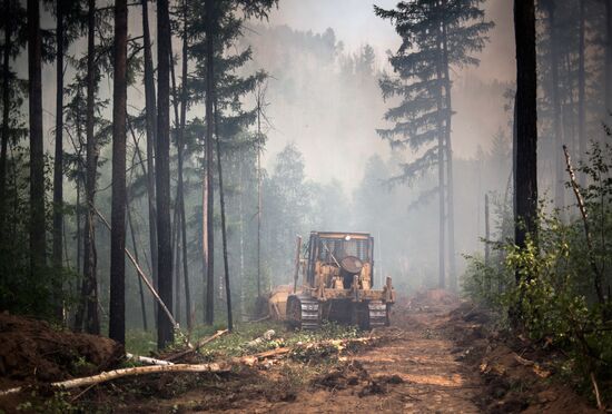 Forest fires in Buryatia