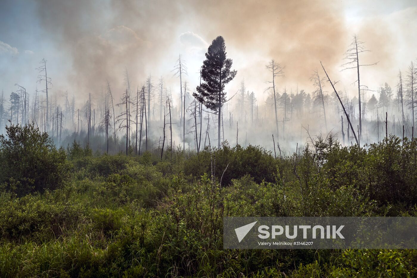 Forest fires in Buryatia