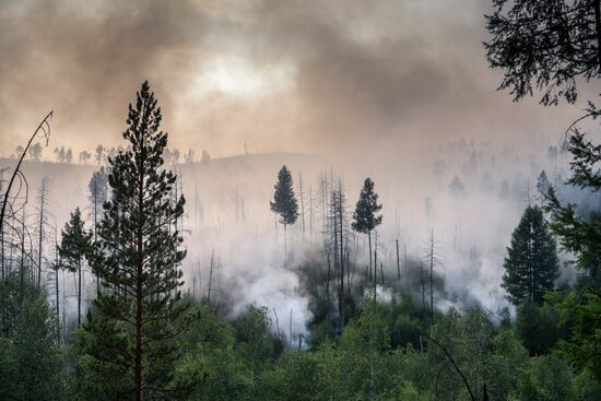 Forest fires in Buryatia