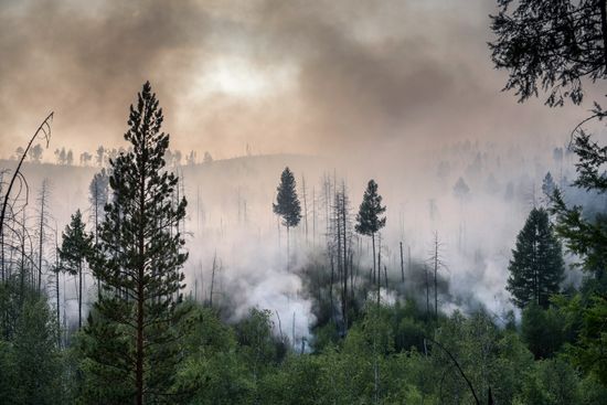 Forest fires in Buryatia