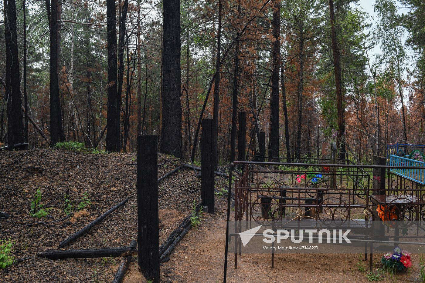 Forest fires in Buryatia