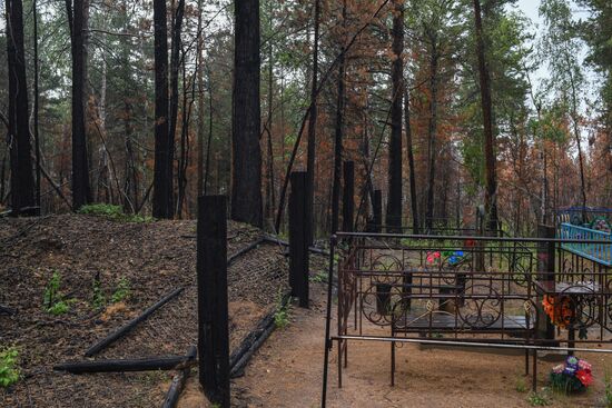 Forest fires in Buryatia