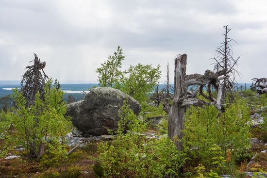 Mount Vottovaara in Karelia