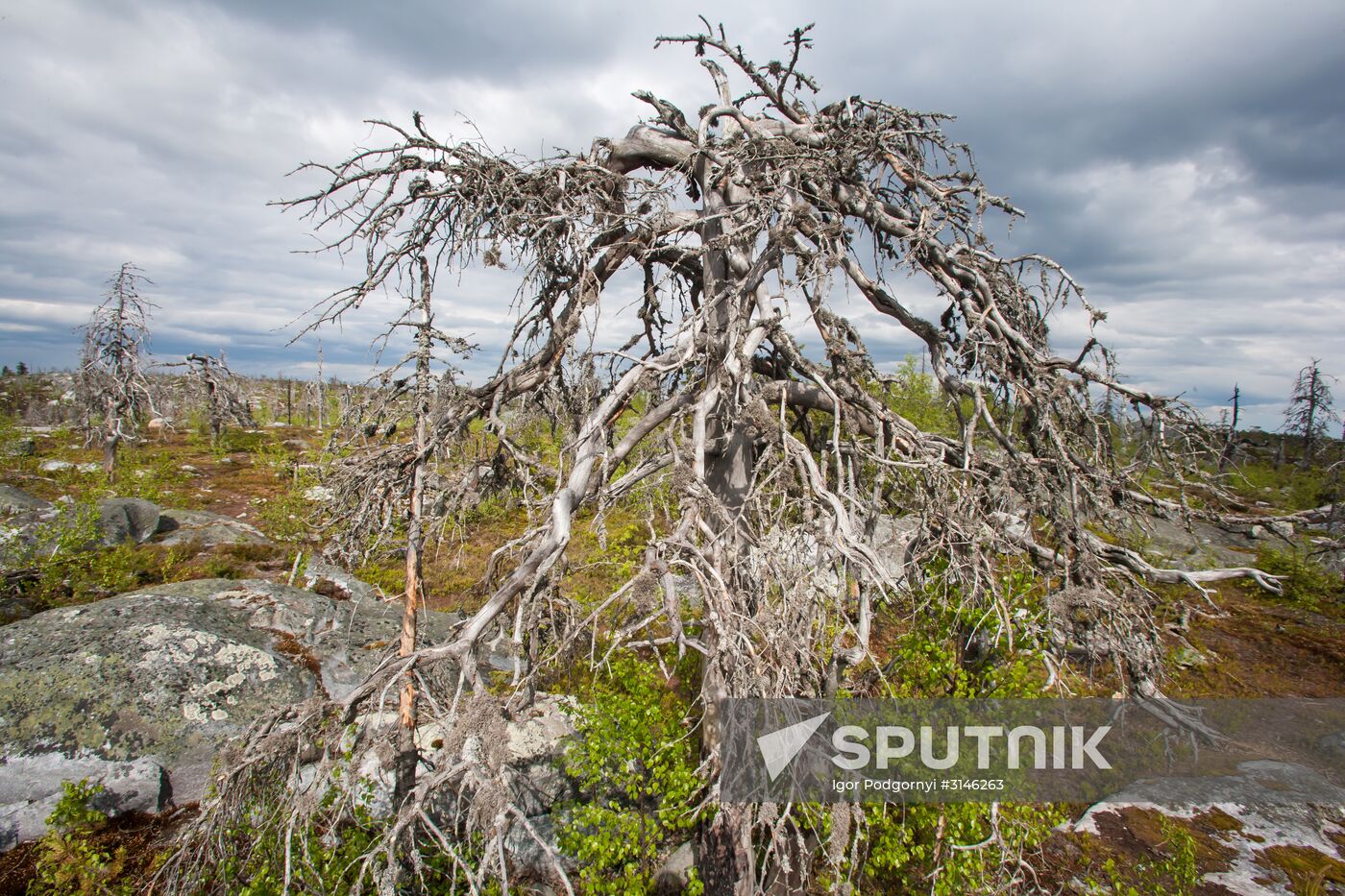 Mount Vottovaara in Karelia