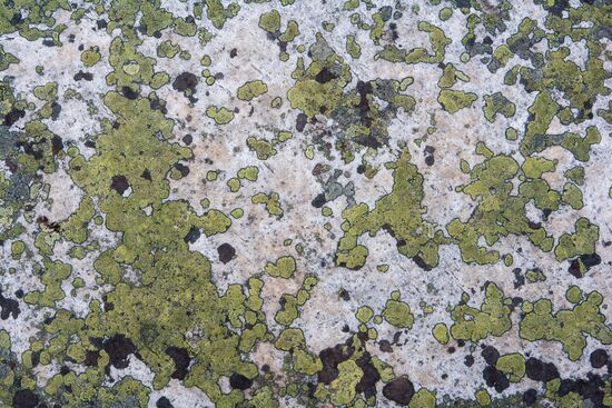 Mount Vottovaara in Karelia