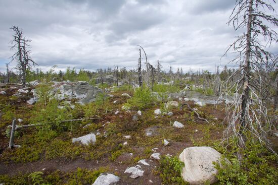 Mount Vottovaara in Karelia