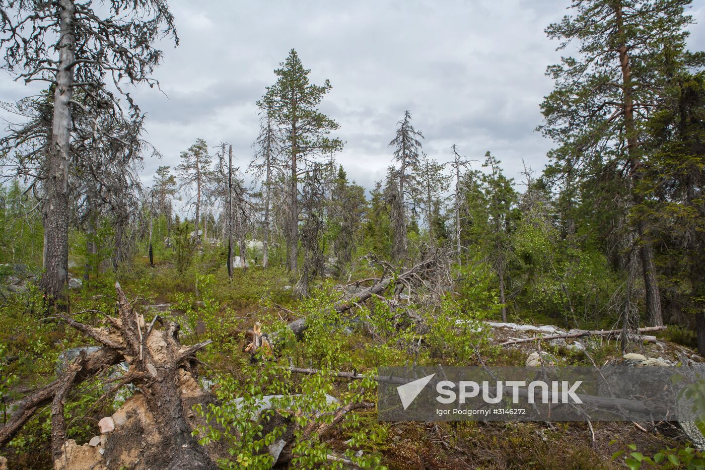 Mount Vottovaara in Karelia