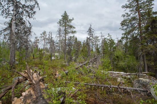 Mount Vottovaara in Karelia