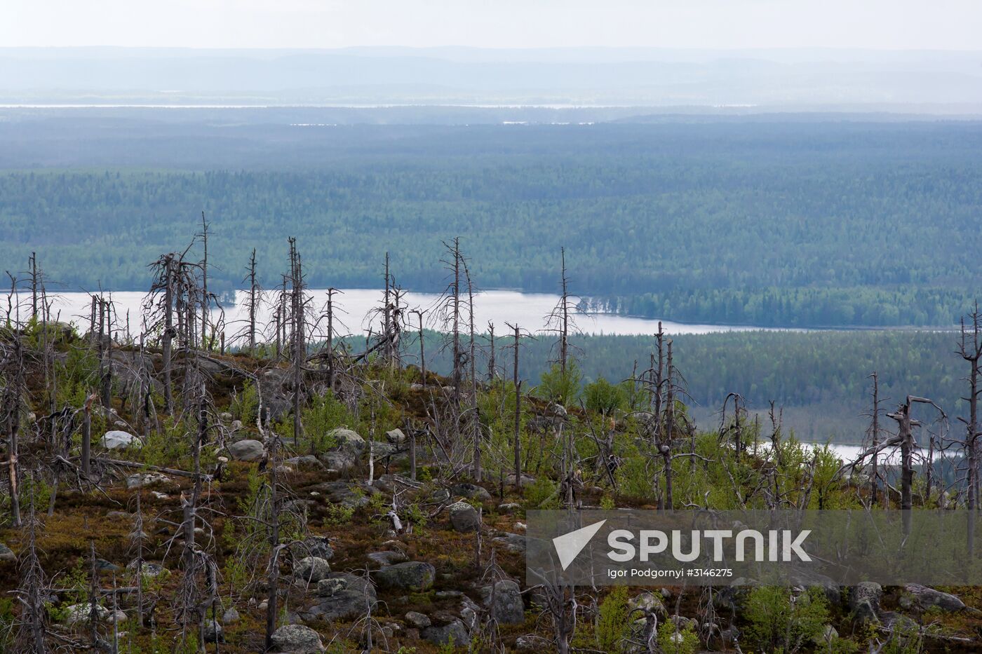 Mount Vottovaara in Karelia