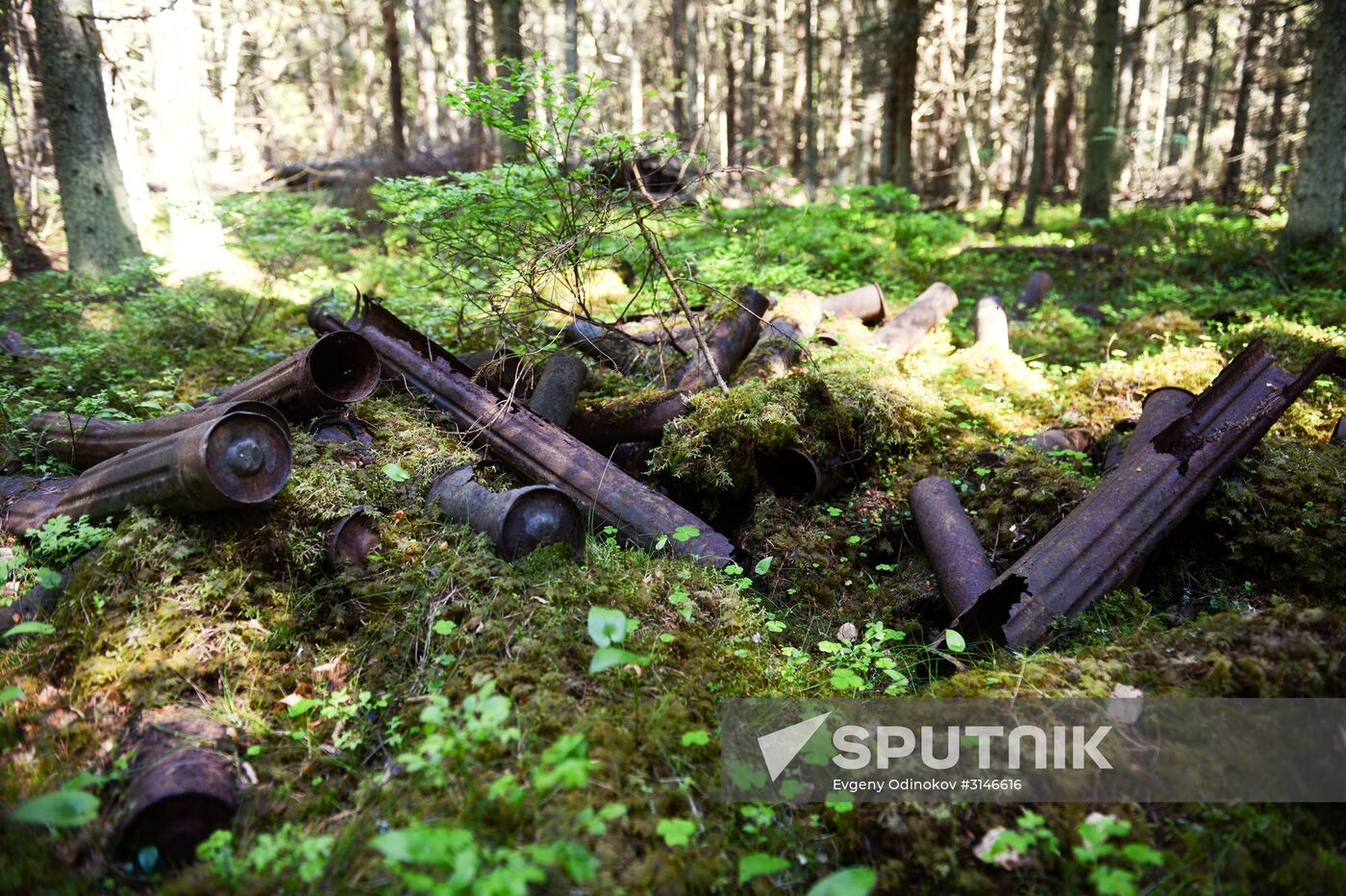 Gogland expedition to Gulf of Finland islands